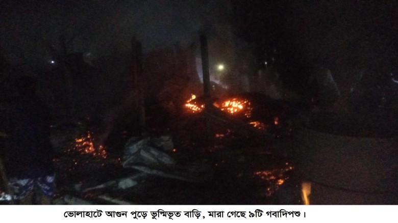 ভোলাহাটে আগুনে পুড়ে ভুস্মিভূত বাড়ি, মারা গেছে ৯টি ...