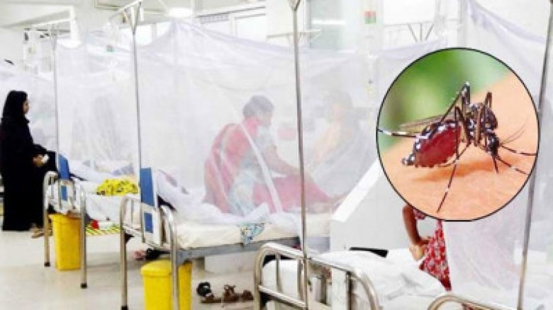 ডেঙ্গুতে ৩ জনের মৃত্যু, ভর্তি ৪০৯...