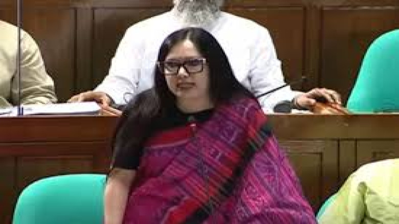 মনোনয়ন না দেওয়ায় রুমিনের বিএনপিকে ধন্যবাদ বার্তা