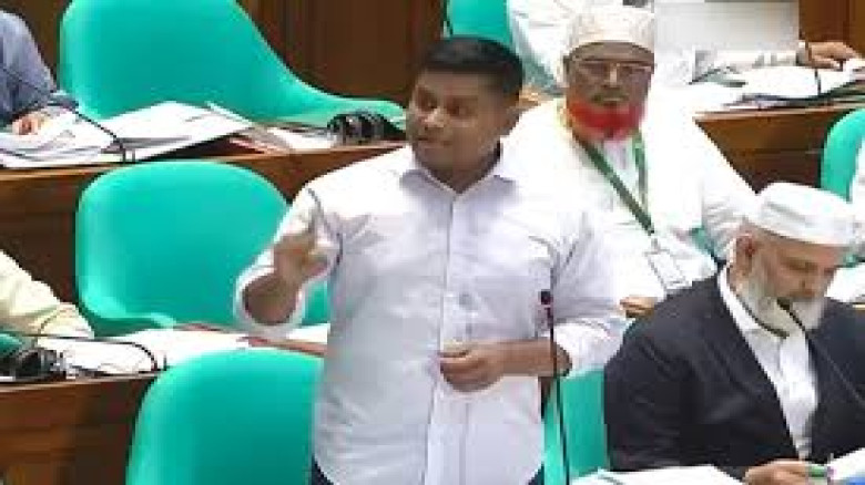 বিসিবিকে ‘বাপের দোয়া ক্রিকেট বোর্ড’ বললেন হাসনাত, ...