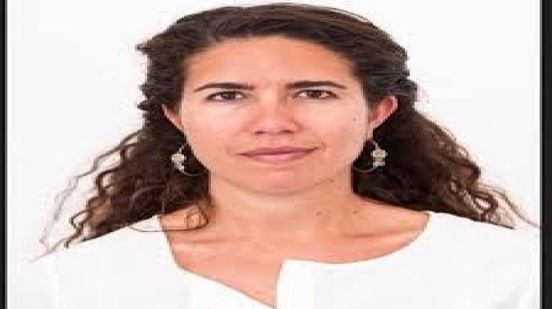 ইসরায়েলকে অস্ত্র বিক্রি বন্ধ করার আবেদন, অ্যামনেস্টির সতর্কবার্তা