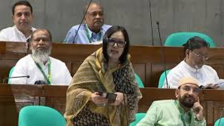 স্বাস্থ্যসেবার দুরবস্থা নিয়ে সংসদে সরাইল হাসপাতাল প্রসঙ্গ তুললেন রুমিন ফারহানা