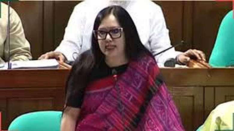 জ্বালানি সংকট না থাকলে লম্বা লাইন কেন—সংসদে প্রশ্ন রুমিন ফারহানার