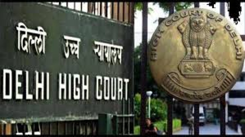 বিচার কার্যক্রমে অনুপ্রবেশ করে আপত্তিকর দৃশ্য দেখানোয় উত্তেজনা দিল্লি হাইকোর্টে