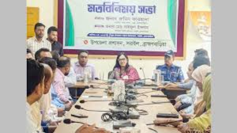 সরাইল ও আশুগঞ্জকে পৌরসভায় উন্নীত করতে কাজ হবে: রুমিন ফরহানা