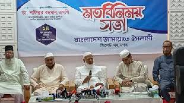 বেনজীর ইস্যুতে সরকারের সমালোচনা, কৃতিত্ব