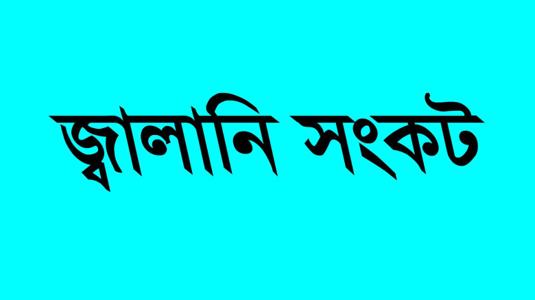 জ্বালানি সংকটে সরকারের ছয় মাস: তাৎক্ষণিক