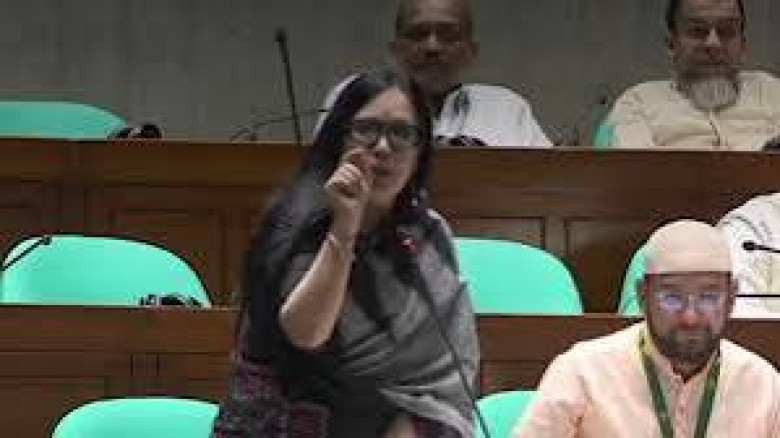 ‘টুকু আসে, টুকু যায়’—সংসদে লোডশেডিং নিয়ে রুমিনের ব্যঙ্গাত্মক মন্তব্য
