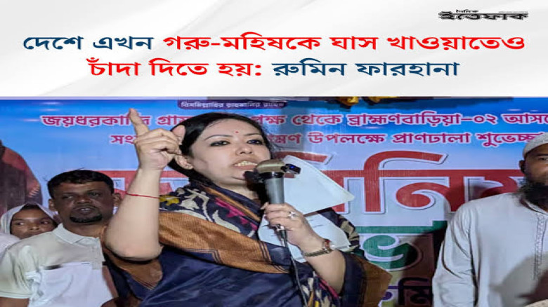 চাঁদাবাজি নিয়ে রুমিন ফারহানার কটাক্ষ, ‘ঘাস খাওয়াতেও চাঁদা দিতে হয়’