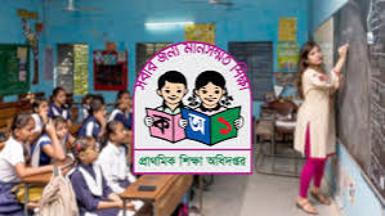 প্রাথমিকে নিয়োজিত ৩০ ধরনের ডিগ্রিধারী শিক্ষক