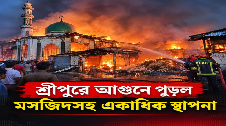 শ্রীপুরে আগুনে পুড়ল মসজিদসহ একাধিক স্থাপনা