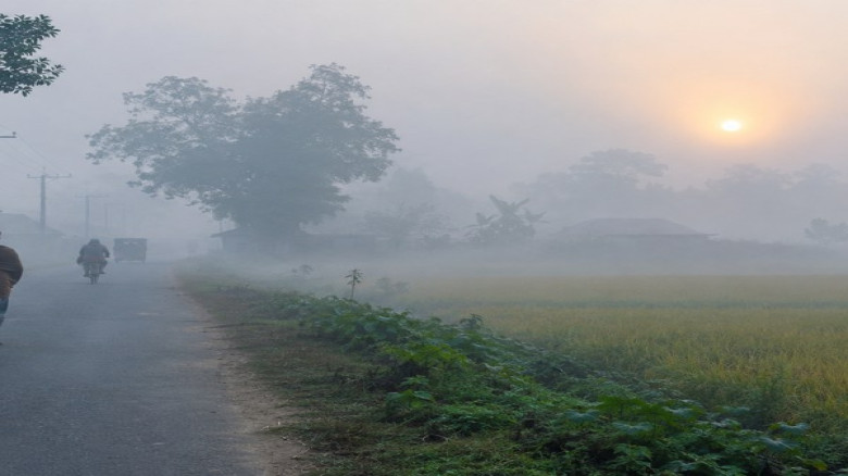 দিনাজপুরে কুয়াশার আগমনী বার্তা, শীতের আভাস