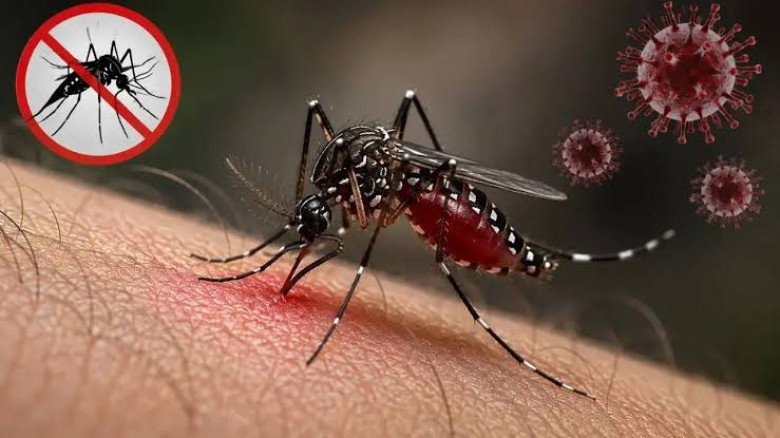ডেঙ্গুতে আরও ৬ জনের মৃত্যু, হাসপাতালে ১৮৯৮