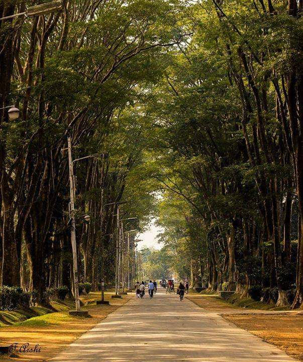 স্মৃতিপটে প্যারিস রোড